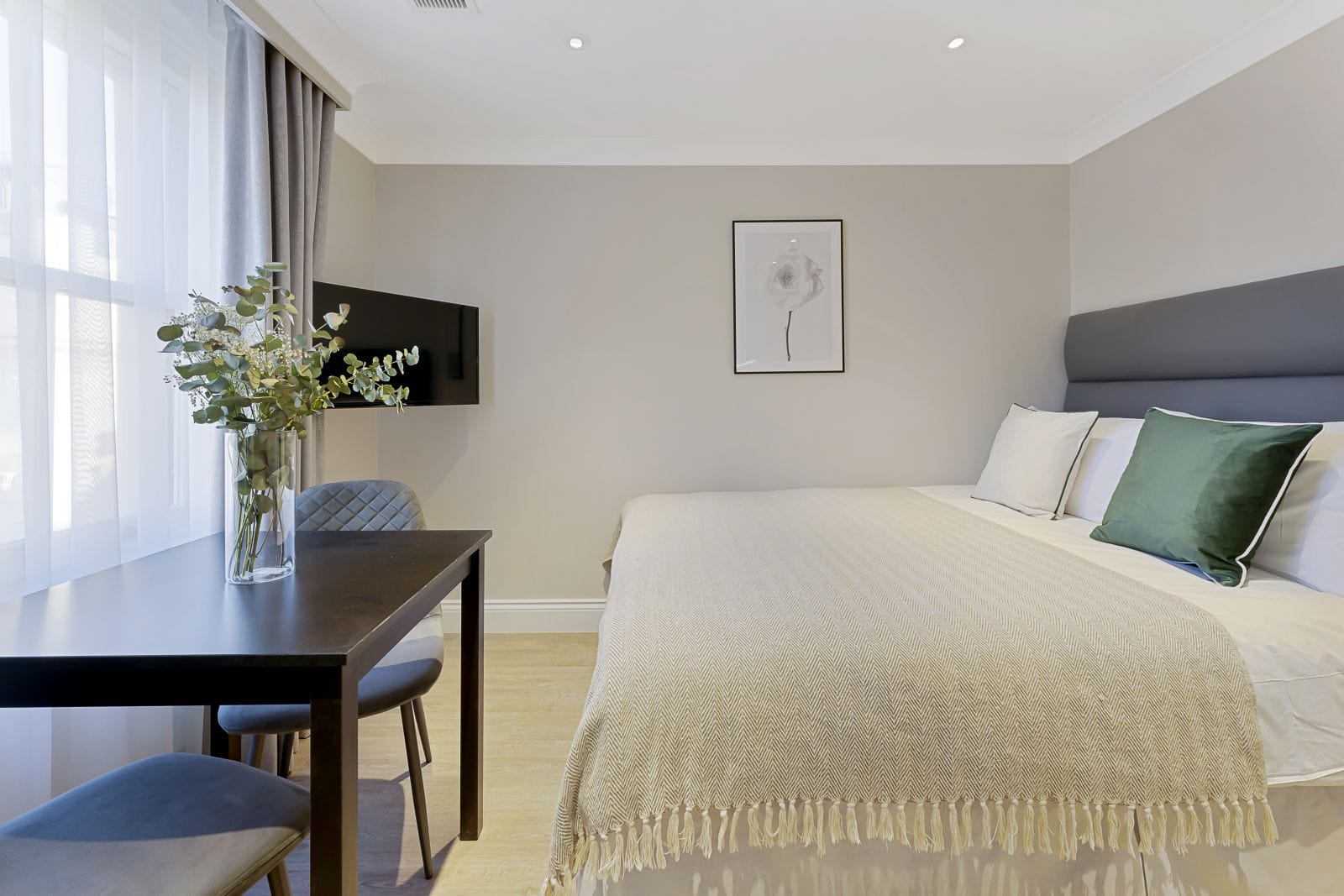 Paddington Standard Studio